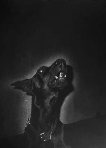 Christa Näher, o.T., 1995, Gelatine Silver Print, Edition of 1, 30 x 20,5 cm, © Christa Näher