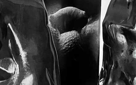 sacra conversazione, Ausstellungsansicht (Detail), Foto: C.Rehm © VG Bild-Kunst Bonn 2025